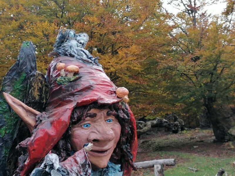 Cangas de Onís: Route in the Vegabaño Forest with lunch at a mountain refuge - The Itinerary in Detail