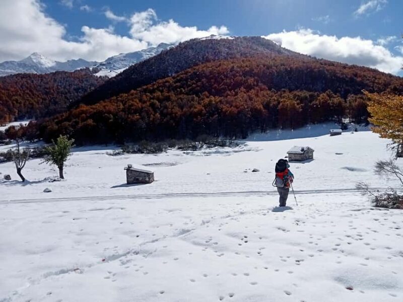 Cangas de Onís: Route in the Vegabaño Forest with lunch at a mountain refuge - FAQ