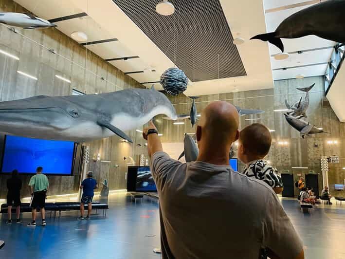 Caniçal : Madeira Whale Museum Entry ticket - Who Will Appreciate This Experience?