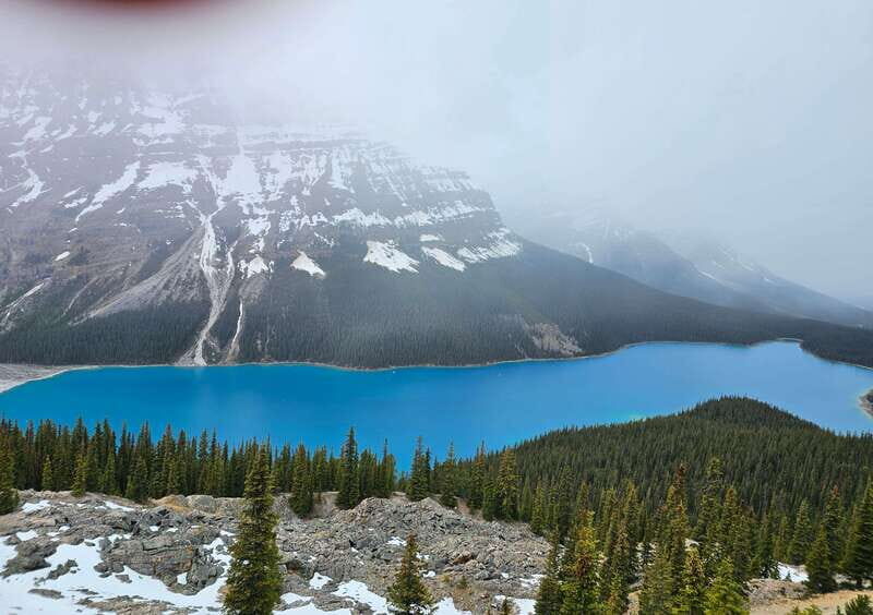 Canmore/Banff: Columbia Icefield, Skywalk, Peyto Day Tour - Key Points