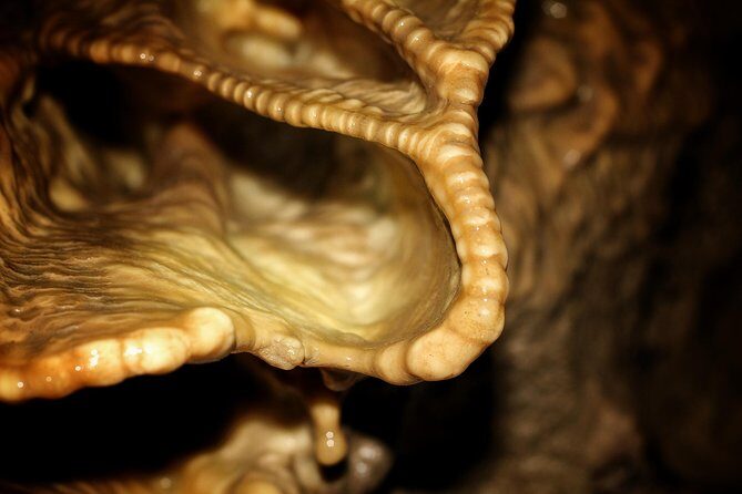 Canmore Caving Adventure Tour - The Value of the Experience