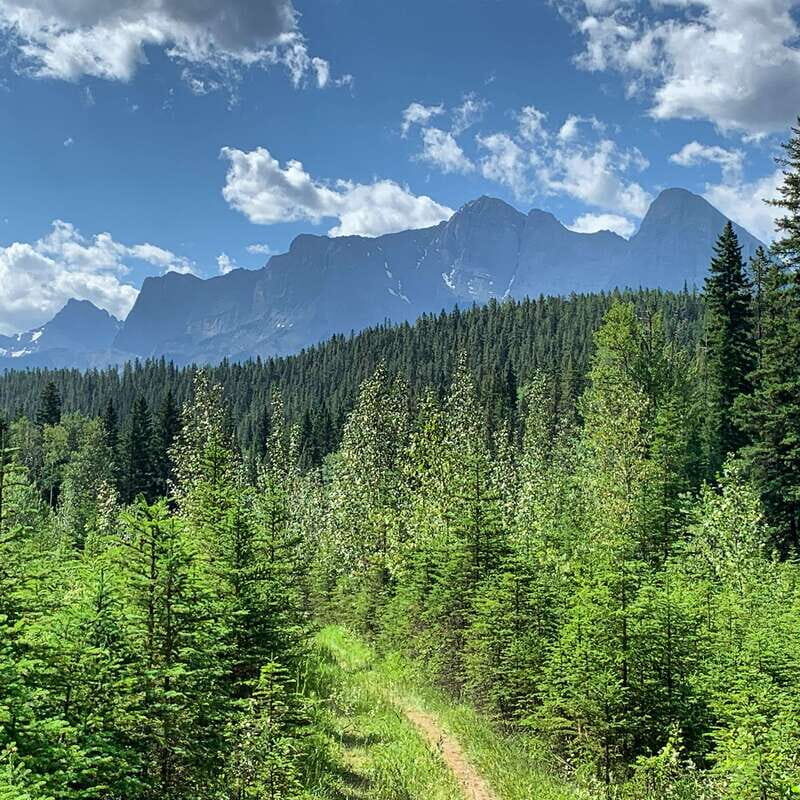 Canmore: LOST TOWNS and Untold Stories - Hiking Tour 3hrs - What the Tour Includes and What to Expect