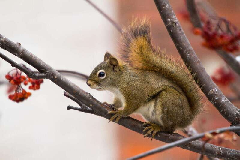 Canmore: LOST TOWNS and Untold Stories - Hiking Tour 3hrs - The Experience from Travelers’ Perspectives