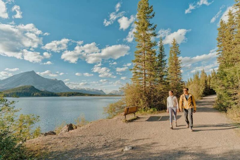 Canmore: Medicinal and Edible Plants, 2-hour Nature Walk - Key Points