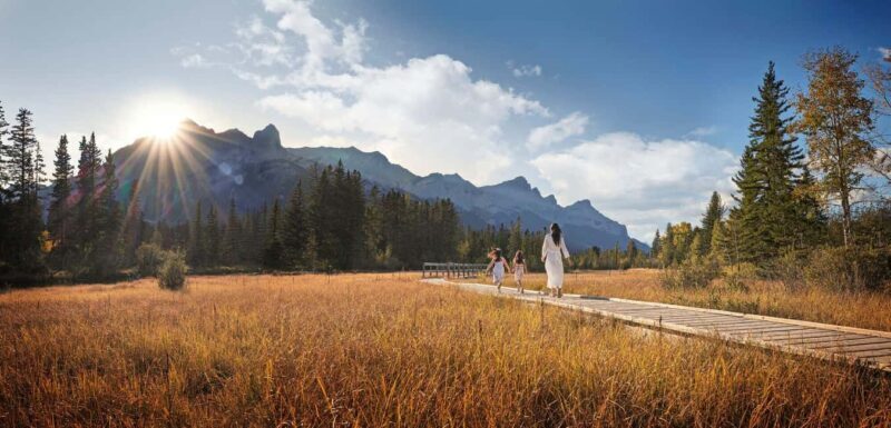 Canmore: Medicinal and Edible Plants, 2-hour Nature Walk - Price and Value