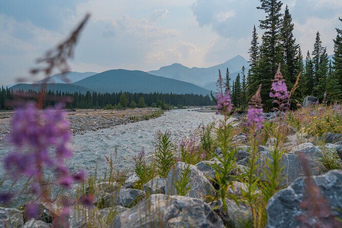 Canmore Medicinal and Edible Plants Nature Walk - 2 Hours - Frequently Asked Questions