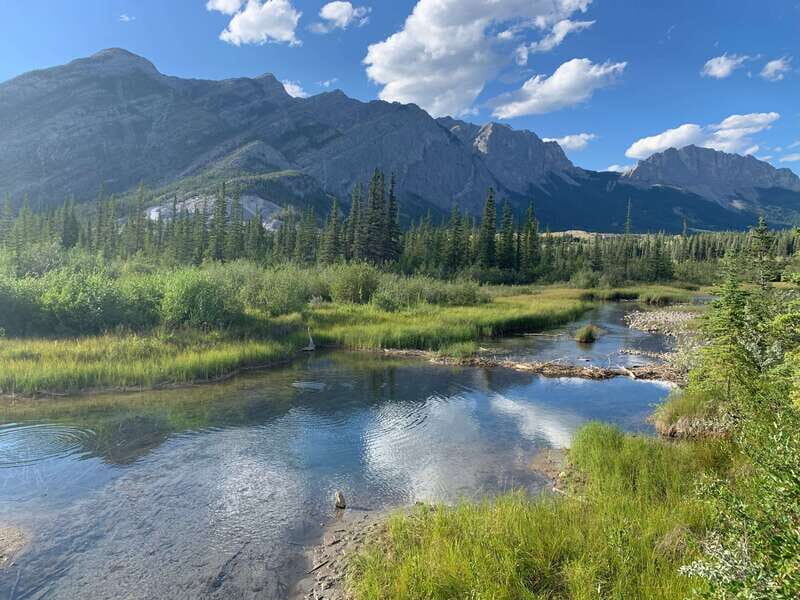 Canmore: PRIVATE SAFARI Drive to BANFF Park & Nature Walk - Price and Value