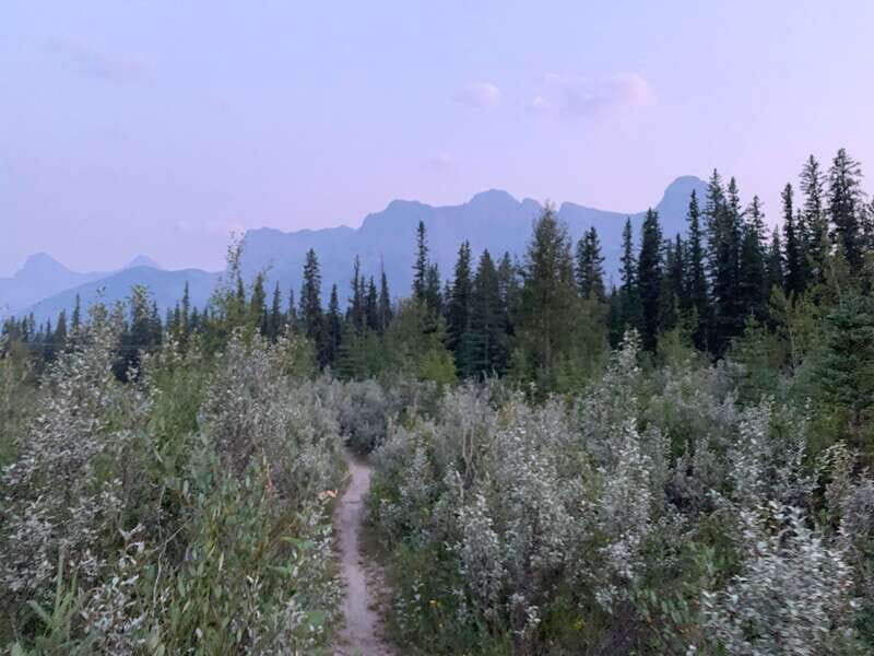 Canmore: PRIVATE SAFARI Drive to BANFF Park & Nature Walk - Authentic Feedback from Travelers