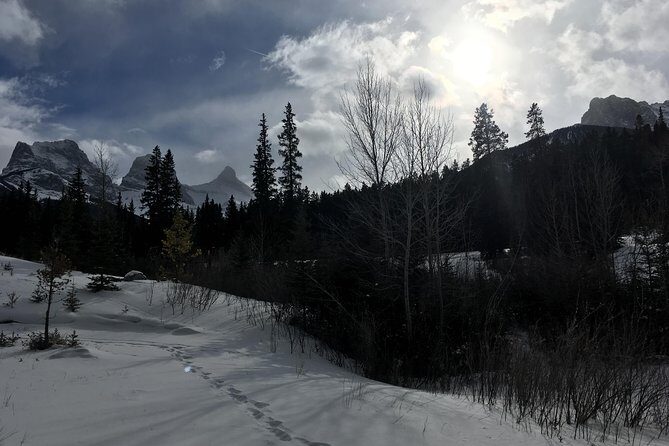 Canmore: Stargazing and Nature by Nightfall Walking Tour - 2hr - The Experience of the Guide
