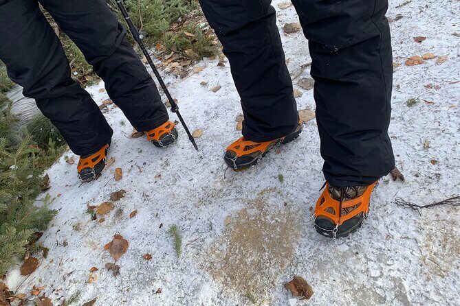 Canmore: Wilderness & Wildlife Tour - 2hr Walk - FAQ