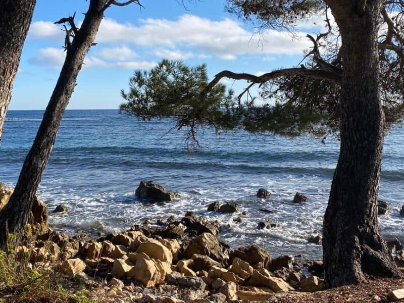 Cannes, Antibes, Mougins, & St-Paul-de-Vence Private Tour - Who Should Consider This Tour?