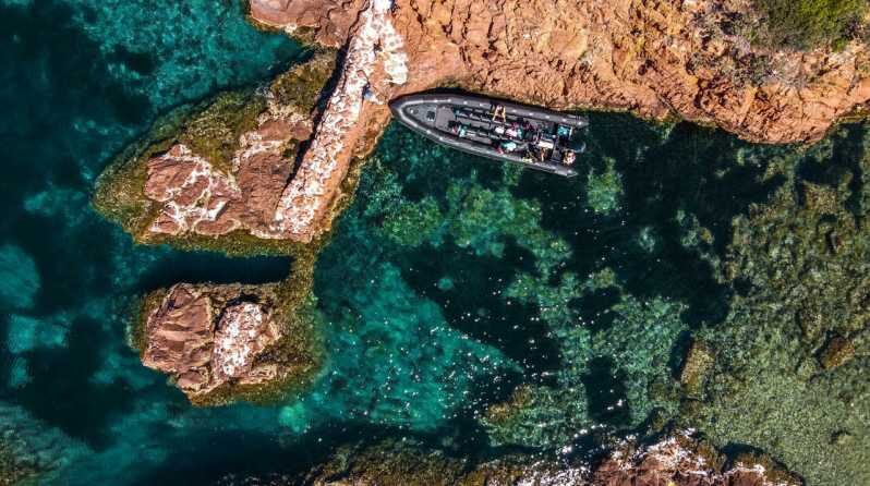 Cannes: Estérel Massif Boat Excursion - Key Points