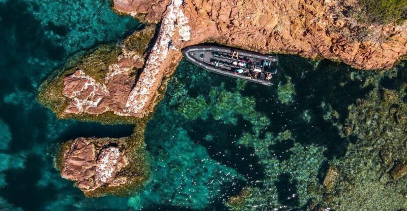 Cannes: Estérel Massif Boat Excursion - Final Thoughts