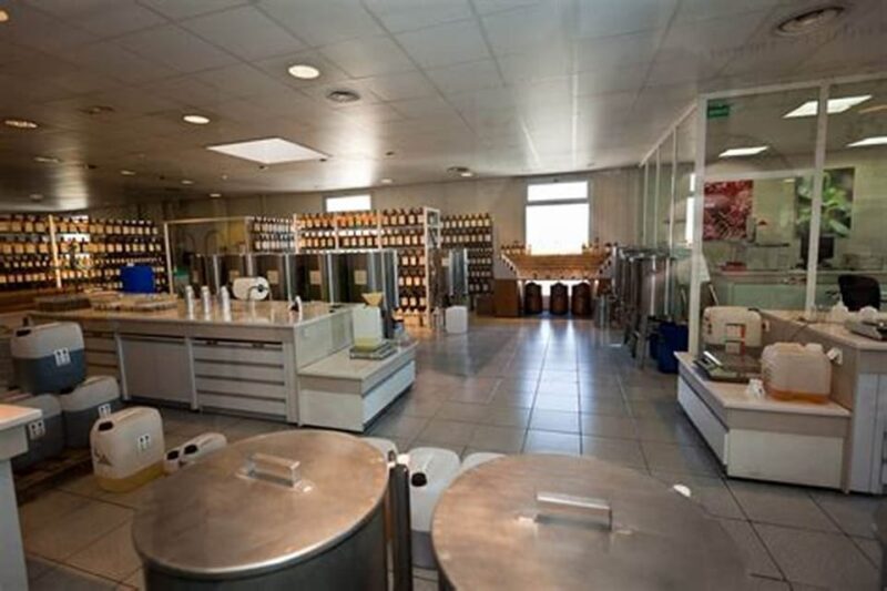 Cannes: French Riviera Private Sightseeing Shore Excursion - Key Points