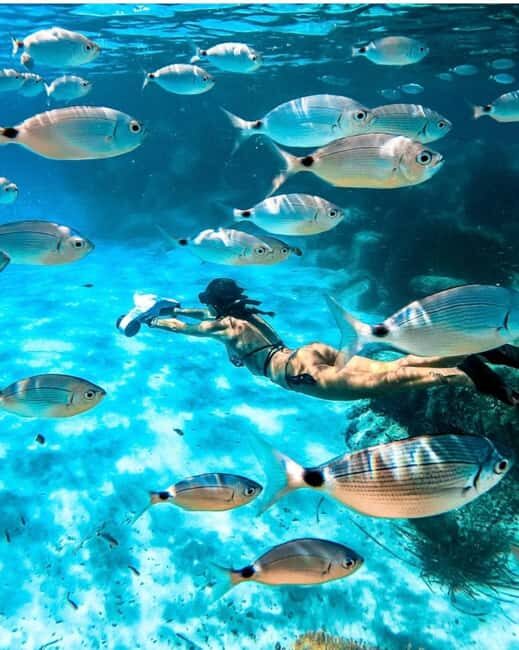 Cannes, Lérins Islands: Visit the eco-museum with a water jet propulsion system - Introduction