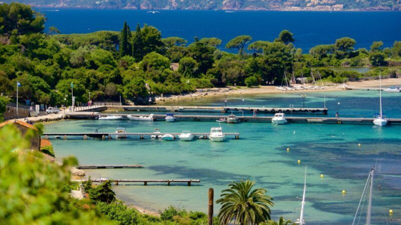 Cannes: Private Boat Trip to Lerins Islands & Cap d'Antibes - Value for Money