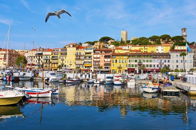 Cannes Private Tour: Film Festival, Secrets & Stunning views - Final Thoughts