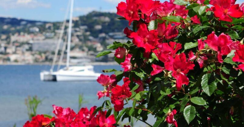 Cannes: Private Trip to Grasse, Antibes, & St. Paul de Vence - What to Expect from the Tour
