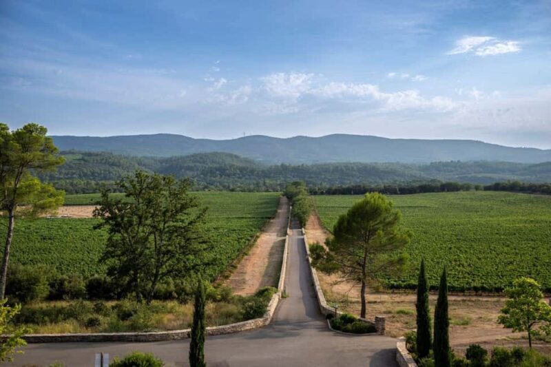 Cannes: Provence Wine Tour - Private Tour from Cannes - Key Points