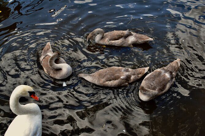 Canoe Adventure Tour Through Prague - Final Thoughts