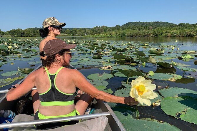 Canoe/Kayak Day Tour of Mississippi Wildlife & Fish Refuge - An In-Depth Look at the Tour Experience