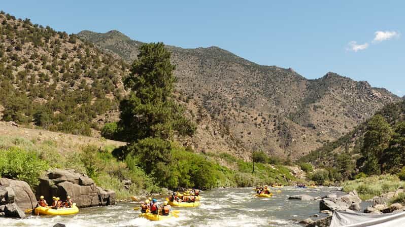 Cañon City: Bighorn Sheep Canyon Guided Rafting Adventure - Key Points