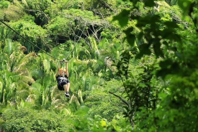 Canopy River Zipline Tour and Mule Ride - Canopy River Zipline Tour and Mule Ride: A Practical Look at This Popular Adventure