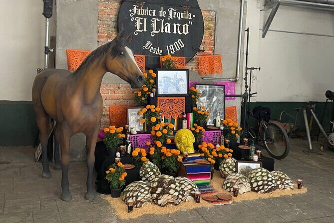 Cantaritos and Tequila Factory Tour - Final Thoughts