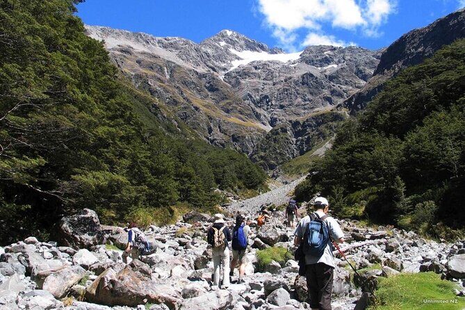 Canterbury Plains and Southern Alps All day Discovery Tour - Who Is This Tour Best For?