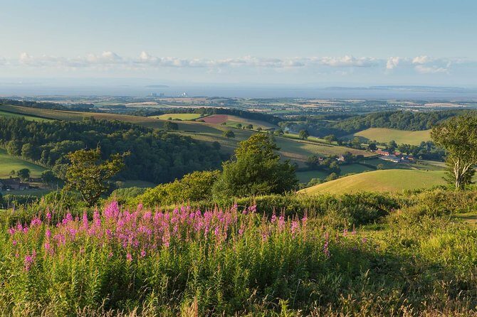 Canterbury & the White Cliffs of Dover Tour (Small-Group) - Final Thoughts