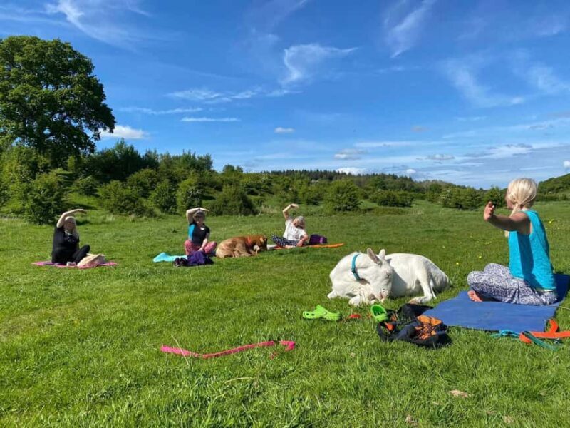 Canterbury: Yoga with Goats and Sheep - Key Points