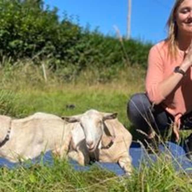Canterbury: Yoga with Goats and Sheep - The Setting and Atmosphere