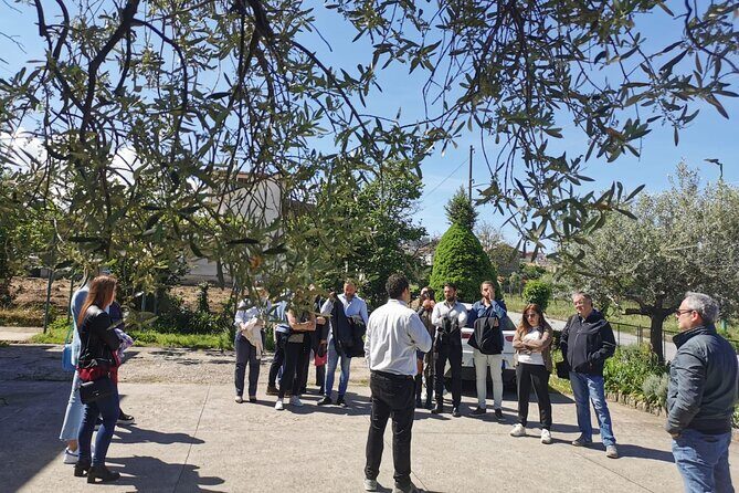 Cantine d'Irpinia: visit and tasting Taurasi from ancient vineyards - Final Thoughts