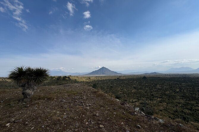 Cantona Archaeological Area Tour from Mexico City - Analyzing the Value