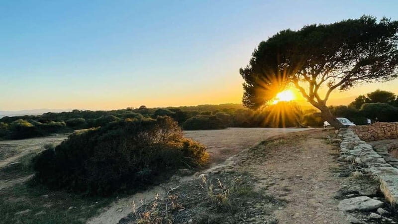 Canyamel: TimeForTwo, fun game,quiz and walk in nature - Exploring Canyamel with TimeForTwo: A Fun, Interactive Walk in Nature