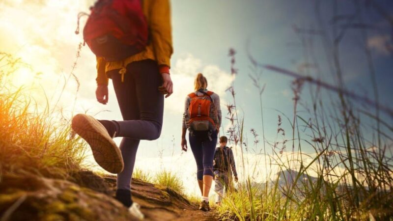 Canyamel: TimeForTwo, fun game,quiz and walk in nature - Who Will Love This?