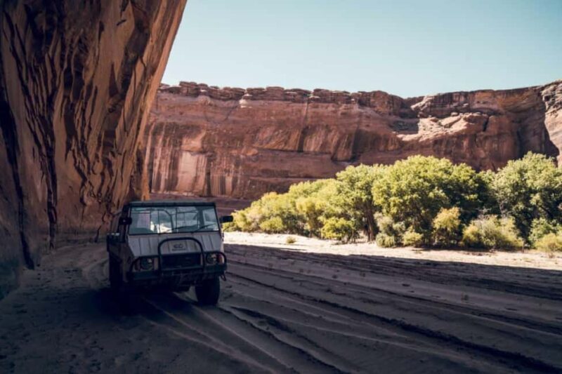 Canyon de Chelly: Spider Rock Rim Tour & Storytelling - What to Expect from the Spider Rock Rim Tour & Storytelling