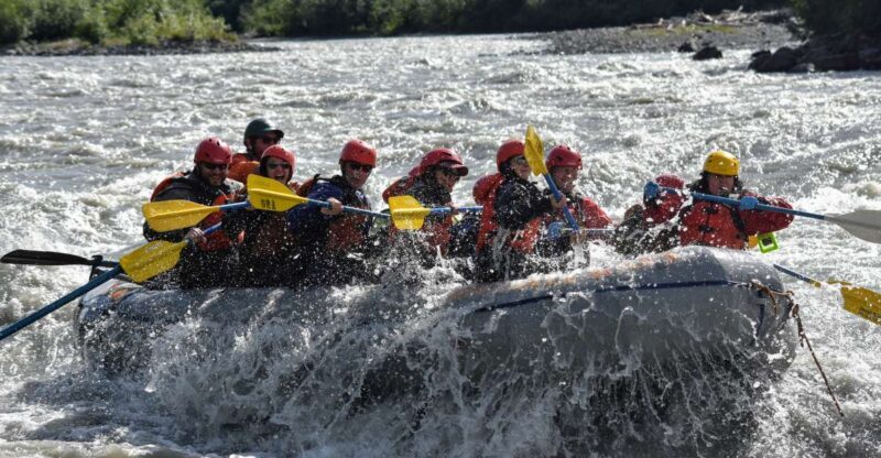 Canyon Run: Denali National Park Class IV Whitewater Rafting - Key Points