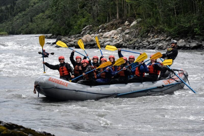 Canyon Run: Denali National Park Class IV Whitewater Rafting - Final Thoughts