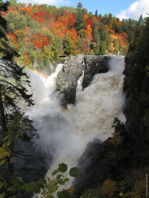 Canyon Sainte Anne: Air Canyon Ride with Park Entry - What People Are Saying