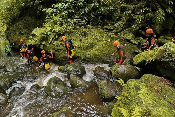Canyoning Adventure in Ribeira da Salga (Sao Miguel - Azores) - Price and Value