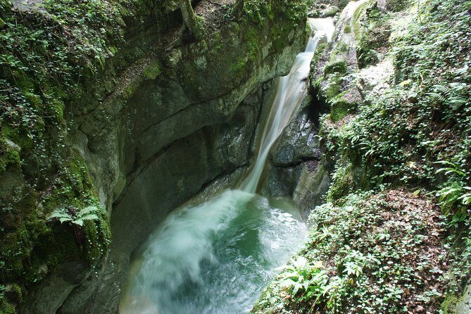 Canyoning discovery 3h in Aix les bains / Chambéry: Ternèze - The Experience on the Day