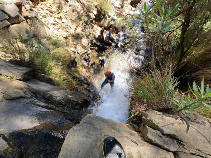 Canyoning Estepona: Guided Adventure in the Sierra Bermeja Natural Park - Key Points