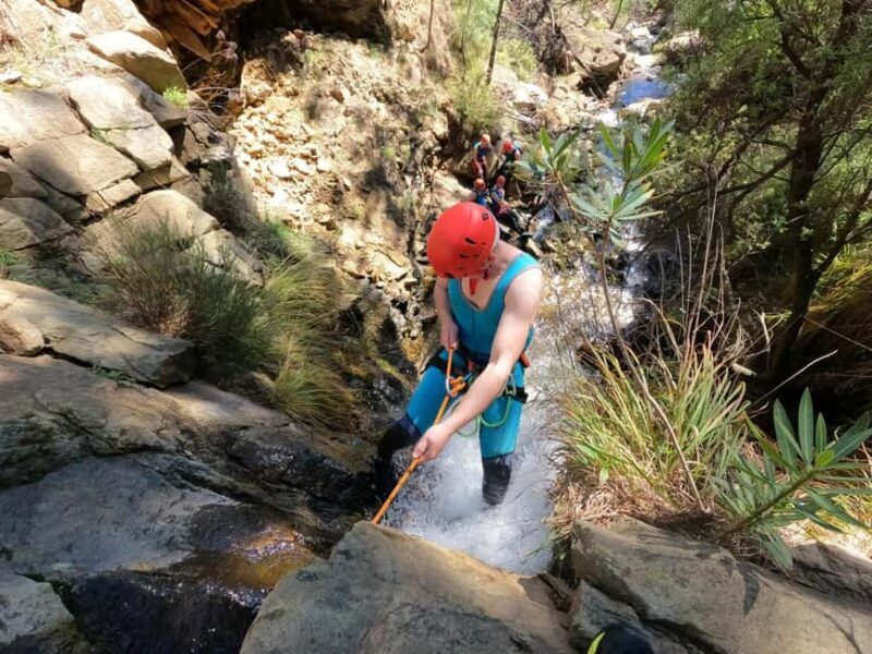 Canyoning Estepona: Guided Adventure in the Sierra Bermeja Natural Park - Introducing the Experience