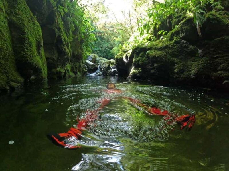 Canyoning Expedition: High Level Canyoning Tour - Canyoning Expedition: High Level Canyoning Tour in the Azores – A Deep Dive Into Adventure