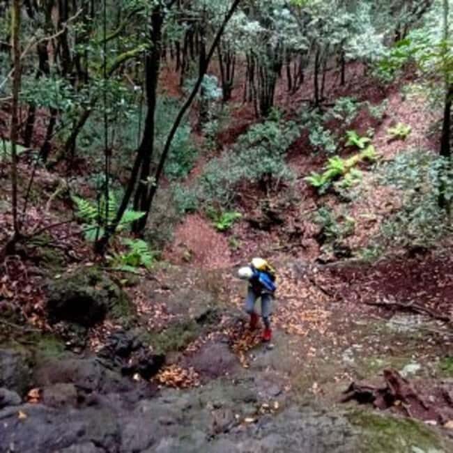 Canyoning in Anaga - An In-Depth Look at Canyoning in Anaga
