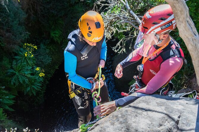 Canyoning in Madeira: Ideal for Beginners and Families - Who Should Consider This Tour?