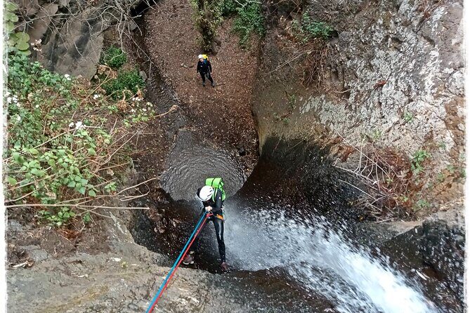 Canyoning in Rainforest: The hidden waterfalls of Gran Canaria - The Experience Provider