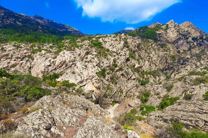 Canyoning in Rio Pitrisconi and Monte Nieddu in San Teodoro - The Real Value: Is It Worth the Price?