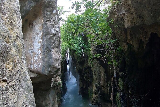 Canyoning in the water - Kourtaliotiko Gorge - Price and Value